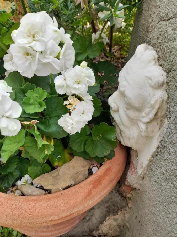 Monti Guesthouse Monti di Licciana Nardi Екстериор снимка